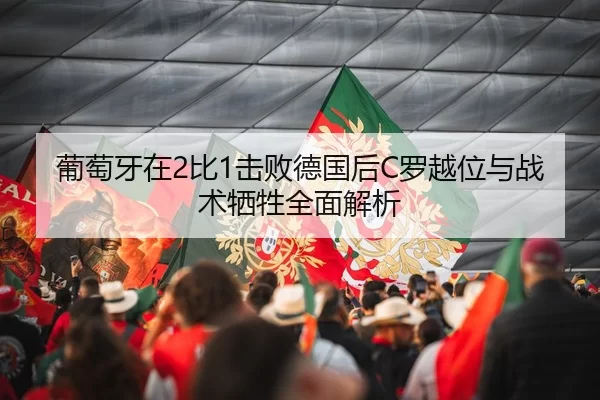 pu-tao-ya-zai-bi-ji-bai-de-guo-hou-luo-yue-wei-yu-zhan-shu-xi-sheng-quan-mian-jie-xi-2-217.jpg